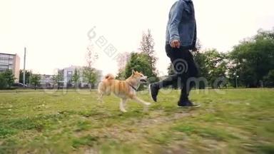 年轻人慢动作爱狗主人与小狗在城市公园奔跑，快乐的宠物享受自由和自然