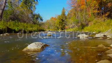 秋天美丽的流水与江边森林.. 阳光明媚的河岸树木，沿着柔和的运河有彩色的叶子