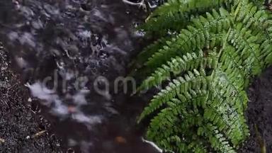 雨水落在花园里草地上的深坑里