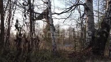 在森林中央的一个老基地有一个大的旧雷达