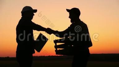 两个农民在日落时交谈。 在夕阳下看着番茄。 侧视图