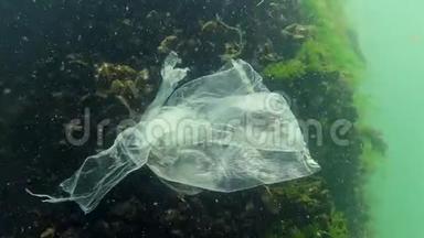 垃圾在水中，聚乙烯袋杀死海洋动物，虾死。