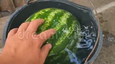 一个男人正在用一桶水冷却西瓜