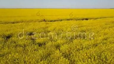 在阳光明媚的日子里，一个漂亮的女孩在黄色的田野里奔跑。 头发被风<strong>挥</strong>了<strong>挥</strong>手。