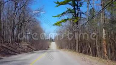 春日期间驾驶农村森林。 沿着美丽的阳光林地树木景观的司机视角