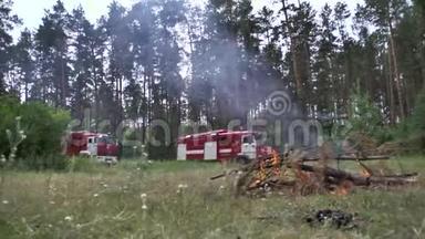 两个红色消防车，闪烁的灯接近森林，以扑灭燃烧的火灾。 场景。 消防车