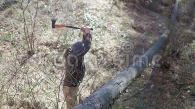 铁斧<strong>砍柴</strong>林中的勇男，伐木工林中的风景