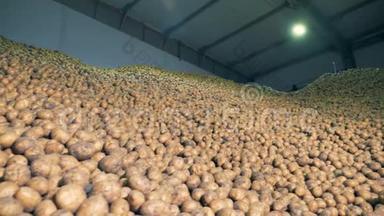 <strong>大规模</strong>的工厂，仓库设施充满了新鲜的挖出的土豆。 农业耕作概念。