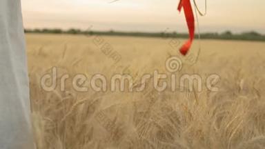 慢动作，特写，女人`手握红丝带包裹的麦穗，手握麦田