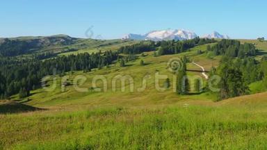 多洛米兹，意大利。 高海拔草地上的景观形成了柔软的山丘。 背景中的马尔默拉达冰川