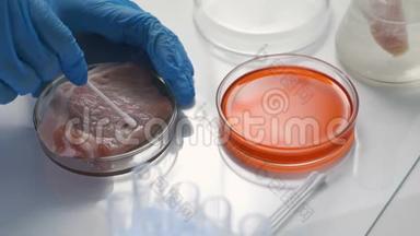 实验室技术人员对肉类进行微生物测试。