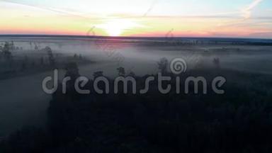 鸟瞰：可怕的幽灵，雾蒙蒙的早晨，大自然黑暗的风景-雾蒙蒙的风景
