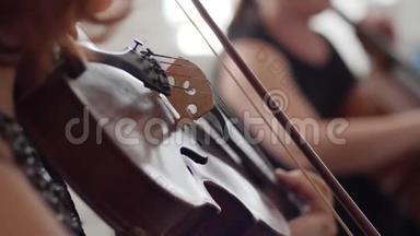 小提琴演奏在管弦乐队的模糊背景，特写小提琴