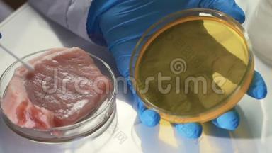 实验室技术人员对肉类进行微生物测试。