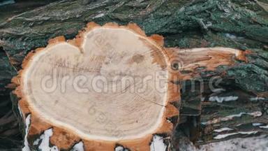 美丽的不寻常的<strong>切割</strong>树干<strong>形状</strong>的心脏与其他树干躺在外面的冬天。 薪柴