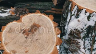 美丽的不寻常的切割树干形状的心脏与其他树干躺在外面的冬天。 薪柴