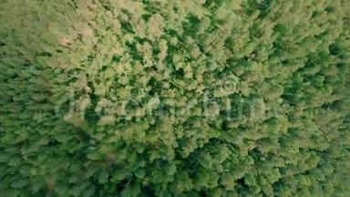 空中无人机飞过森林。 无人机上升并<strong>旋转</strong>