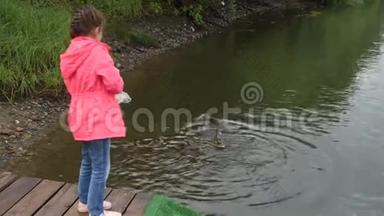 小女孩在公园里喂<strong>鸭子</strong>。 孩子把面包和她的小<strong>鸭子</strong>一起扔给<strong>鸭子</strong>。 4k