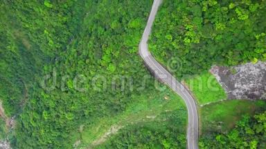 台湾绿<strong>树林</strong>中的汽车沿着弯曲的蛇形道路行驶。 高空俯视图