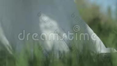 神秘的女孩穿着一件白色的长裙，沿着郁郁葱葱的青草散步。 背景模糊。 身体<strong>部位</strong>