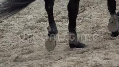 马的<strong>蹄子</strong>穿过沙场时可以看到慢的全景。