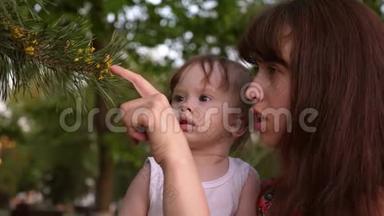 婴儿坐在母亲的<strong>怀里</strong>，看着松树上的针。