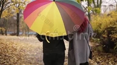 秋天公园里，一对年轻夫妇抱着一把五颜六色的拿着一把五颜六色的雨伞，把它拧成一团