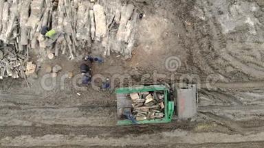 一群工人在卡车上装载木材。 砍伐森林，在汽车上装载木材