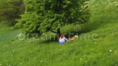 一个年轻漂亮的女孩，带着科吉狗<strong>坐在树下</strong>的草地上