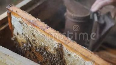 工作蜜蜂用<strong>蜂蜜</strong>做蜂巢。 养蜂人用<strong>蜂蜜</strong>拉出框架。 养蜂人得到一个框架与<strong>蜂蜜</strong>