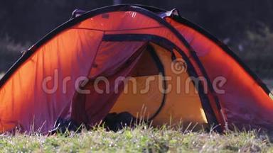 在雾蒙蒙的早晨，在秋天的一片<strong>青松</strong>林中，一片绿草上的红色帐篷。 秋周末森林徒步旅行，带帐篷