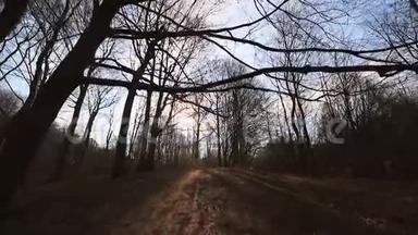 没有叶子的树之间的<strong>摄像机运动</strong>。 阳光照进相机，映衬着蓝天和树枝.. 黑暗