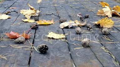 在旧木地板上有倒下的松果，秋天的黄叶枫和橡树。 风<strong>吹</strong>落<strong>树叶</strong>，秋叶