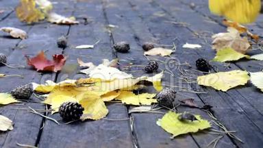在旧木地板上有倒下的松果，秋天的黄叶枫和橡树。 风<strong>吹</strong>落<strong>树叶</strong>，秋叶