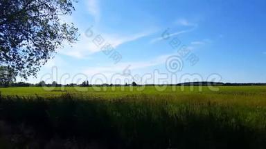 俯瞰郁郁葱葱的农村田野，在农村的日子里随风吹长了草。 美丽的风景山水自然