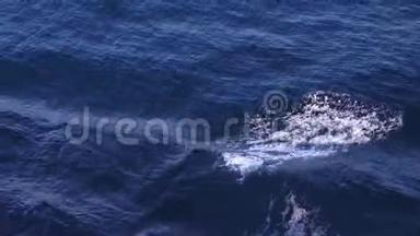 在船后有泡沫的波浪。 水中波浪的图案。 4k邮轮的水面尾流景观