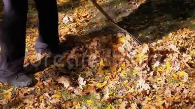 工人用耙子在秋天的公园里收集黄色落叶. 慢动作