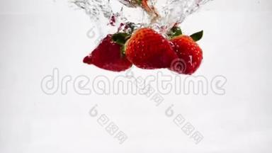红色的草莓带着泡泡美丽地掉进水里。 视频贝里在孤立的背景下缓慢运动。
