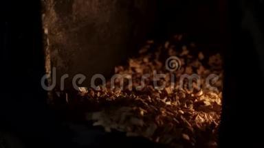 一个人把锯末放在铸铁炉的特写镜头里。 场景。 人类`把木头放在火里的手很近。 木质炉
