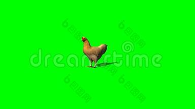 棕色鸡肉闲置1个绿色屏幕