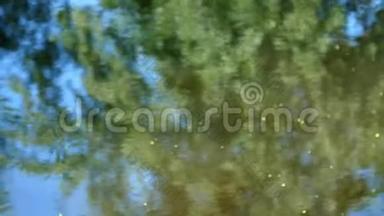特写，池塘，河流.. 在水面上反射树木，蓝天，阳光是可见的。 夏天，白天。