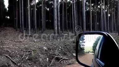 松树林和汽车镜的超慢动作