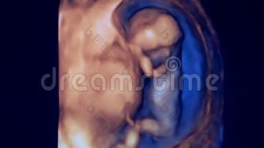母亲子宫中一个微小`胎儿形象