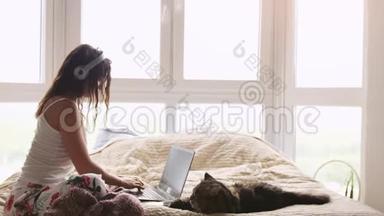年轻漂亮的女人坐在窗边的床上。 与笔记本电脑合作。 缅因州的猫坐在附近。 3840x2160