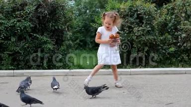 小女孩在公园里<strong>喂鸽子</strong>，吃面包。