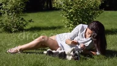 小女孩在草地上的公园里和一只狗玩。慢动作。 <strong>高清高清</strong>