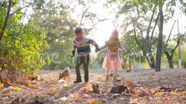 在温暖的秋日公园里，快乐的孩子们带着小狗在背光下奔跑