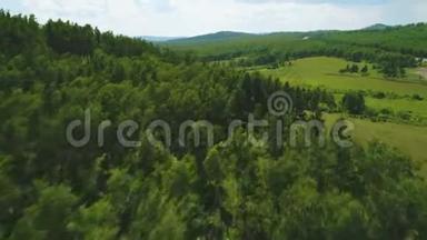 鸟瞰森林，夏日绿林.. 无人机射击。 空中观景台。 飞过美丽的树林