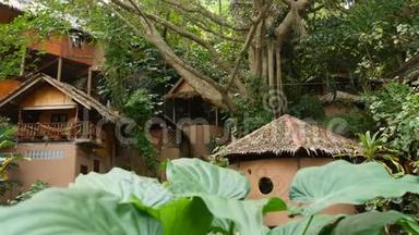 热带树附近可爱的小屋。 阳光明媚的一天，美丽的小村庄坐落在令人惊叹的热带树木周围