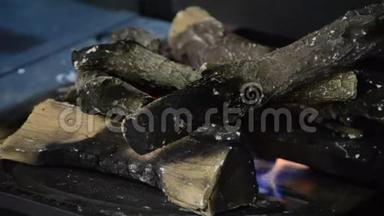 生物壁炉和<strong>耐热</strong>陶瓷柴火.